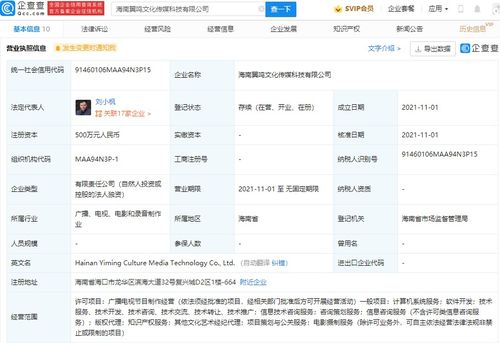 项目策划与公关服务 构建成功与声誉的双重支柱